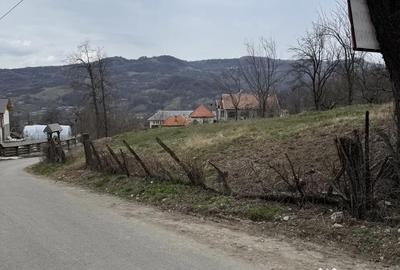 Teren de 3000 mp, în Cetățeni - 1
