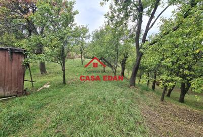 Teren intravilan in Sotrile--1671m--13e Teren intravilan in Sotrile--1671m--13e - 10