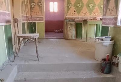 Casă cu Teren 1200 Mp în Ticvaniu Mic - 1