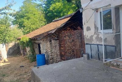 Casa de vanzare+teren - 8