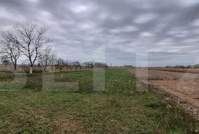 Casa de vanzare, 210 mp, Comuna Micula - 9