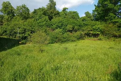 Teren de 8000 mp, în Făget - 2