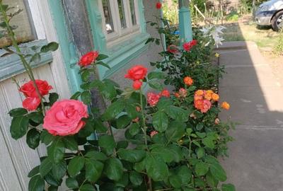 Casă individuală cu 4 camere cu Teren 1700 Mp în Cudalbi - 3