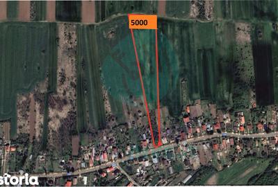 Teren de 5000 mp, în Gruiu - 2