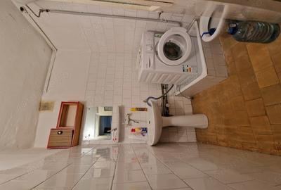 Proprietar-Centru Recas-langa parc - 9