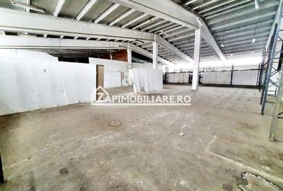 Hale cu suprafatade  220 mp si 440 mp zona Ambient - 5