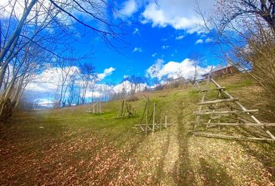 Teren in sat, cu vedere larga, langa rau, si fundatie casa P+1 - 12