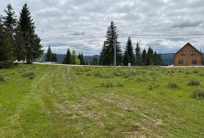 Teren Construcții extravilan de 1342 mp, în Beliș - 1