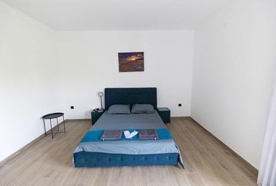 Casă cu 4 camere cu Teren 350 Mp în Schitu - 7