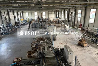 Depozit industrial, 1.950 mp, Teren 4.000 mp, Chitila, ID 15482 - 4