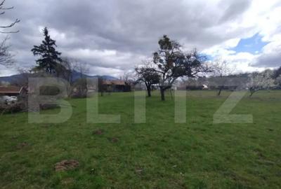 Casă cu 4 camere cu Teren 7500 Mp în Central - 5