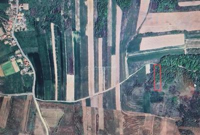 Teren extravilan de vanzare in Tileagd - 3166 mp cu panorama superba - 1