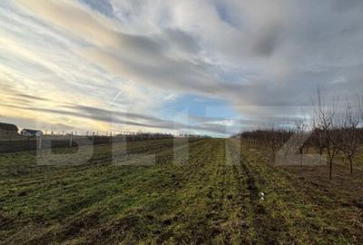 Teren intravilan 33 ari, Simleu Silvaniei - 2