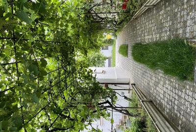 Proprietar vand Casa cu curte superba central Craiova - 3