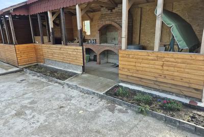 Casa batraneasca paianta - 4