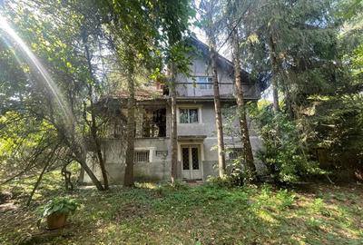 De vanzare casa cu teren intravilan Ro?ia Noua, comuna Petri?, jud. Arad - 2