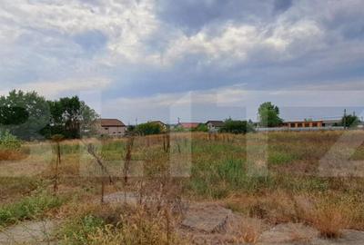 Oportunitate! Teren intravilan 20000 mp si spatiu industrial - 12