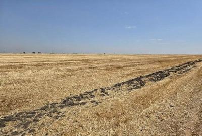 Teren extravilan Zimnicea cota parte 1/6 ID: R2688418 - 4