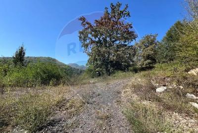 Teren de 702 mp, în Buru - 7