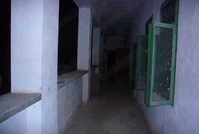 Vand casa la 20km de Oradea, in Ungaria, 2km de granita - 2