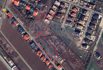 Teren pentru dezvoltare imobiliara in Darza Crevedia - 2