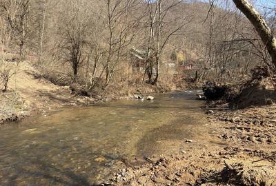 Spațiu comercial, în Central