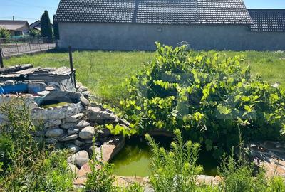 Casa 309 mp, teren 1083 mp, Rusii-Munti - 7