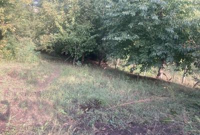 Casa single,P+1,5 camere, teren 1778mp! - 7