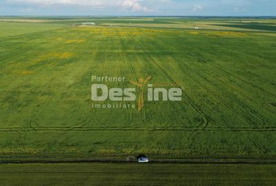 Teren agricol extravilan de 41225 mp, în Dumbrava - 1