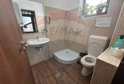 Casa / Vila de inchiriat 6 camere in zona Foisorul de F... Casa / Vila de inchiriat 6 camere in zona Foisorul de F... - 13