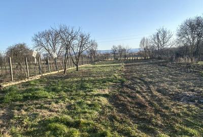 Casă în Vințu de Jos - 4