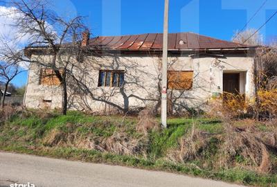 Casă cu 4 camere cu Teren 10000 Mp în Central - 7