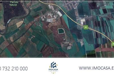 Teren agricol extravilan de 100000 mp, în Aradul Nou - 2