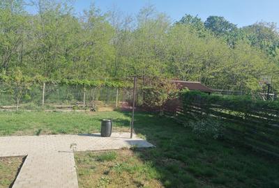 Branesti - Vila de vanzare - 10