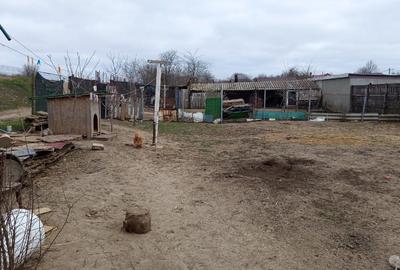 Casă individuală cu 2 camere cu Teren 700 Mp în Lumina - 3