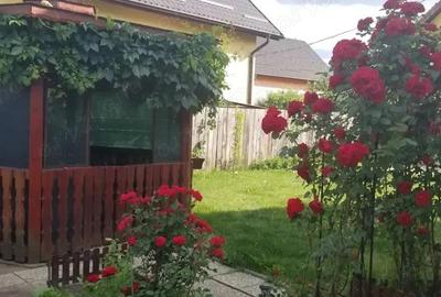 Casa Stupini complet mobilata, curte proprie cu foisor - 8