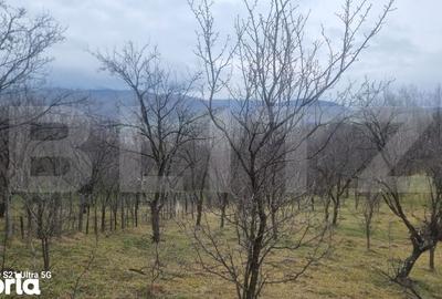 Teren de 3781 mp, în Izvoarele