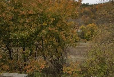 Teren de 1592 mp, în Central - 2