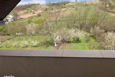 Casă cu 4 camere în Rusenii Noi - 12