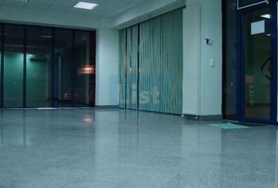 Birou, de 383 mp, în Semicentral - 5