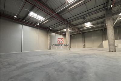 Spațiu comercial, de 950 mp, în Theodor Pallady - 13