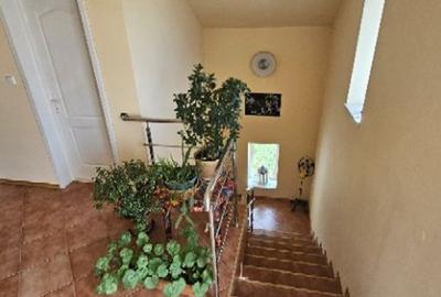 Ciopani vila 5 camere teren 4000 mp - 32