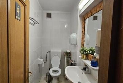 Vila de inchiriat - metrou Aurel Vlaicu - pentru birouri - gradinita - 7