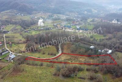 Teren de 3357 mp, în Bădila - 9