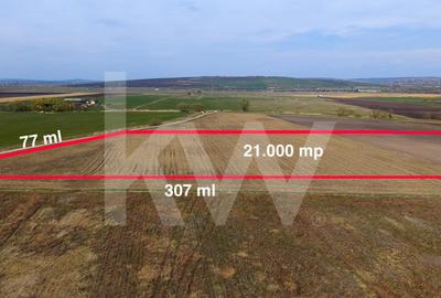 Teren Construcții intravilan de 21439 mp, în Periferie - 6