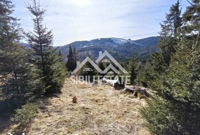 Teren de 2733 mp, în Șugag - 5