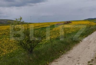 Teren de 3621 mp, în Petrești - 3