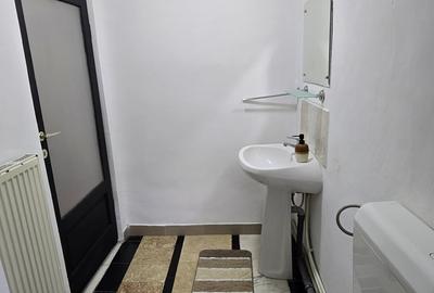 Casă individuală cu 2 camere cu Canalizare în Chitila - 8
