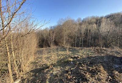 Teren de 1788 mp, în Breaza de Jos - 5