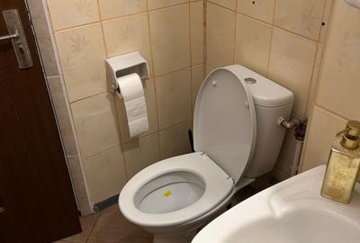 Apartament 3 camere Zugravi - Billa - 8